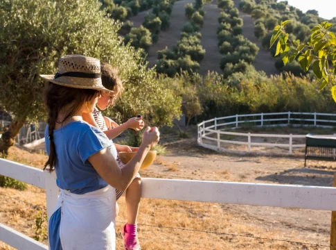 El programa Verano Joven 2026 ofrece hasta 90% de descuento en trenes y autobuses para viajar por España El programa Verano Joven 2026 ofrece hasta 90% de descuento en trenes y autobuses para viajar por España