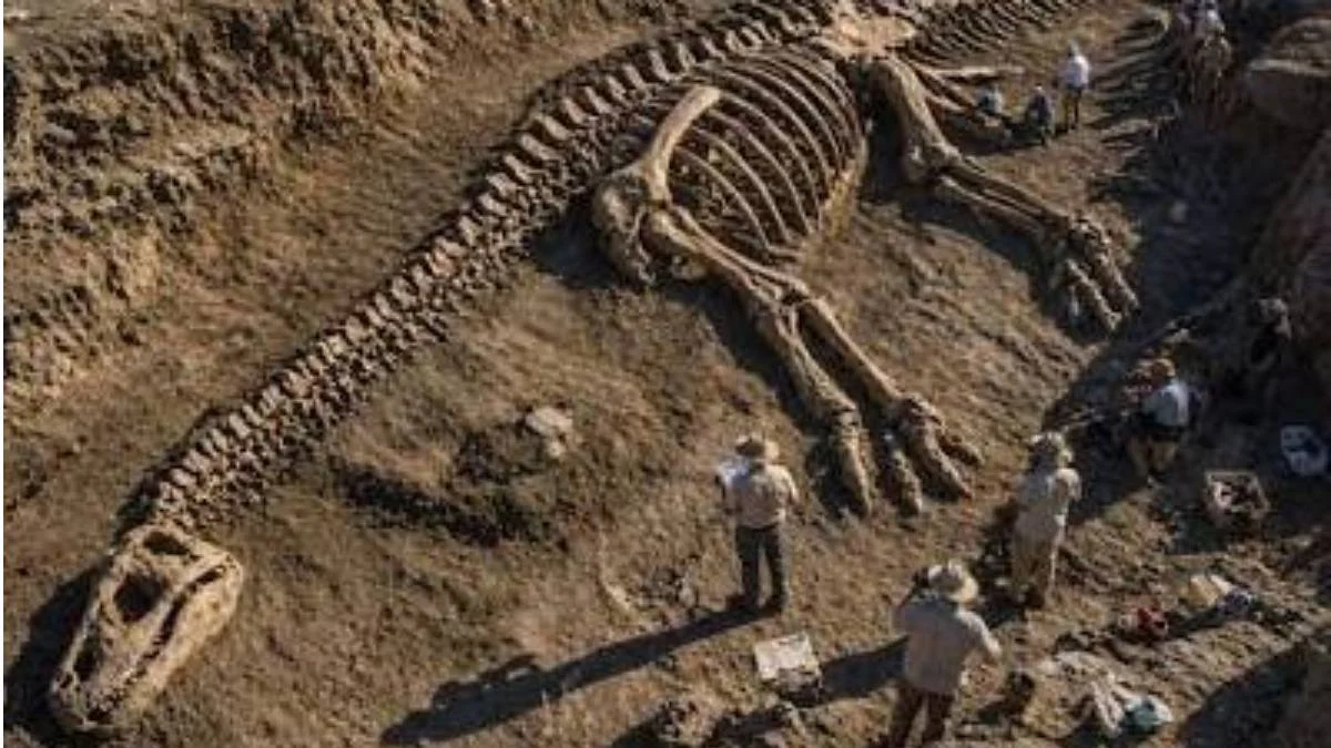 Uragasaurus kalasinensis