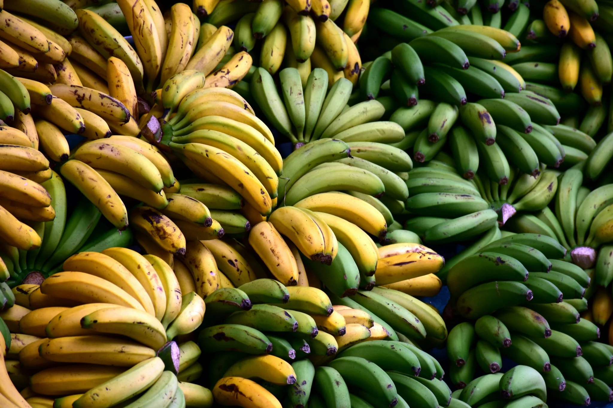 Beneficios del plátano para deportistas: energía natural y apoyo nervioso según su maduración 1 Merca2 plátano energía