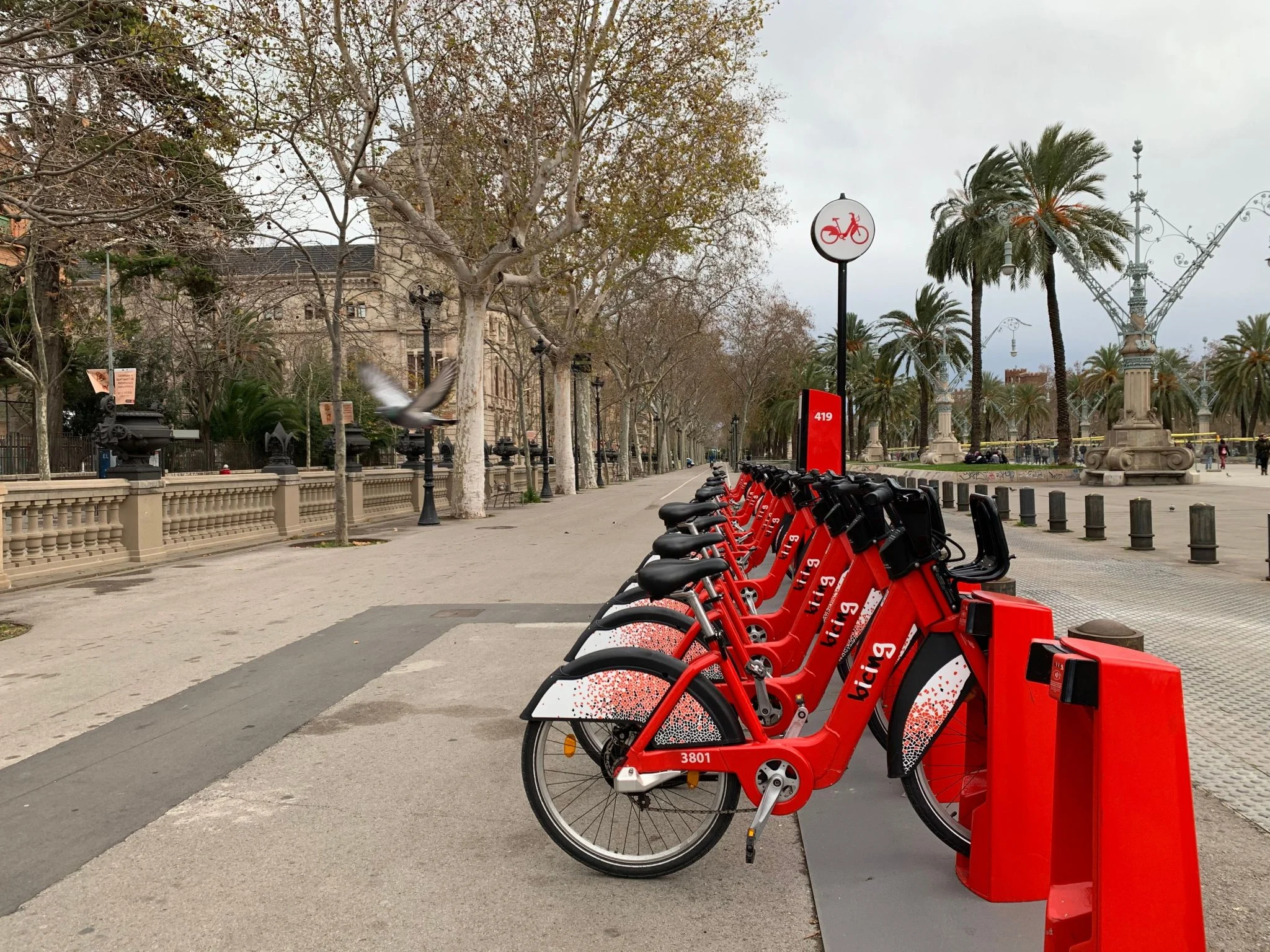 Bicing ola de calor