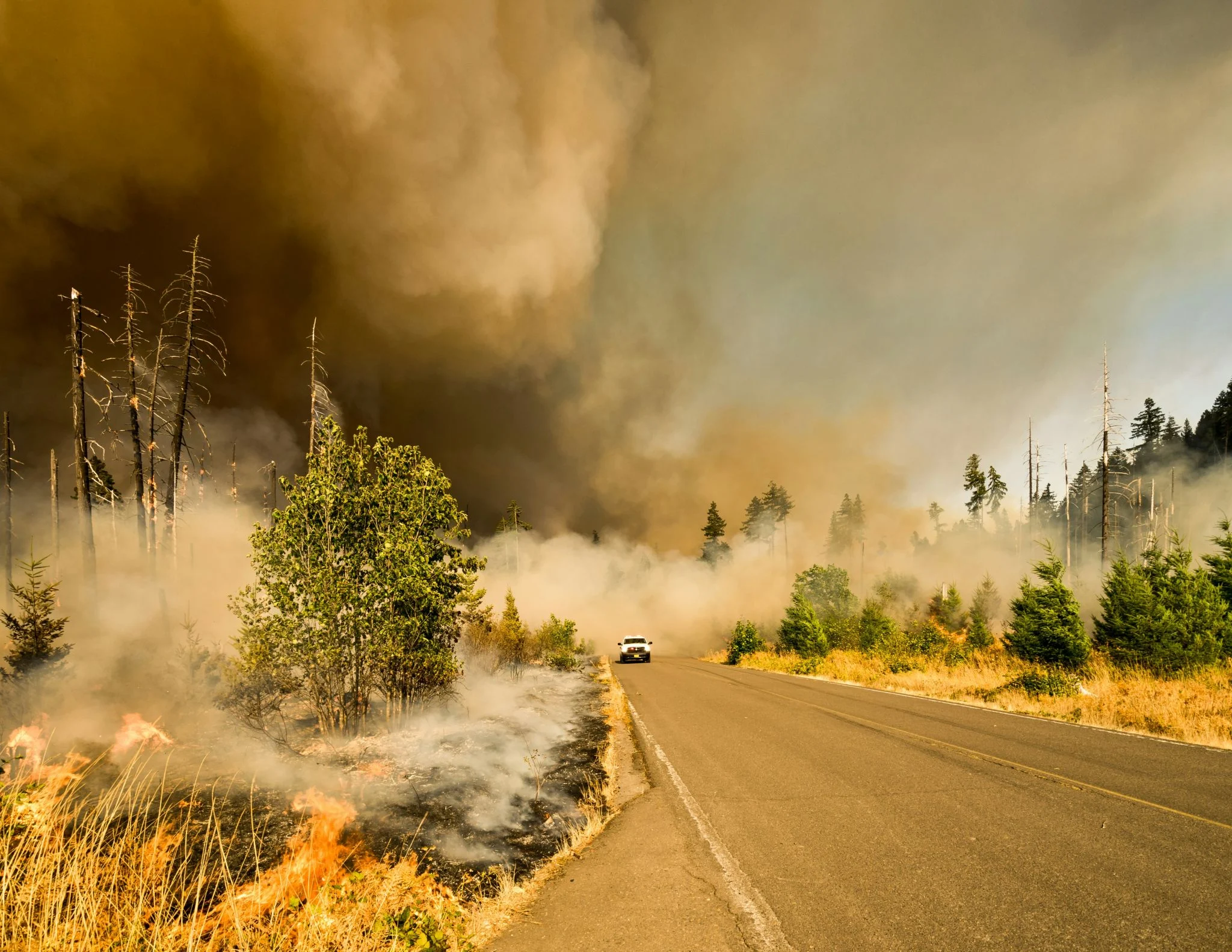 152.000 hectáreas quemadas: el coste económico de los incendios forestales dispara las alarmas en España 1 Merca2 152.000 hectáreas quemadas