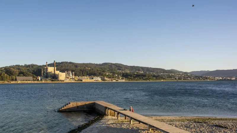 Ence ve los primeros signos de recuperación tras tres trimestres de debilidad 1 Merca2 Imagen: Ence Pontevedra.
