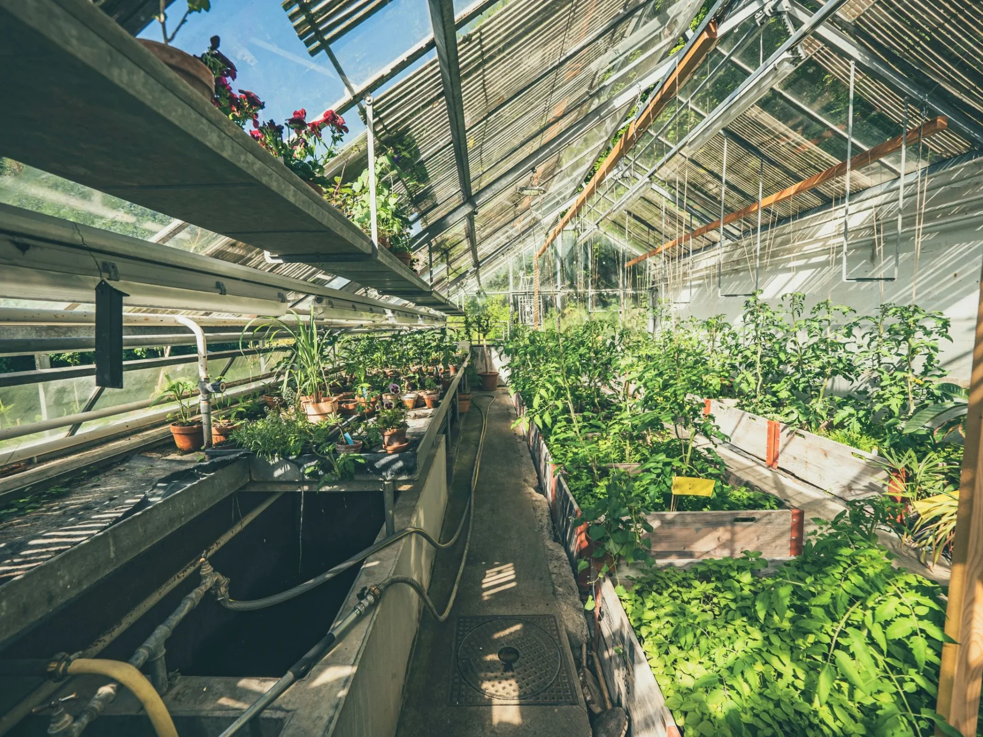 fracaso-startup-agricultura-vertical-agr-portada fracaso startup agricultura vertical