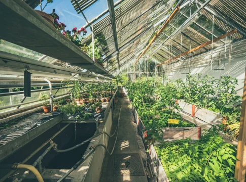 fracaso-startup-agricultura-vertical-agr-portada fracaso startup agricultura vertical