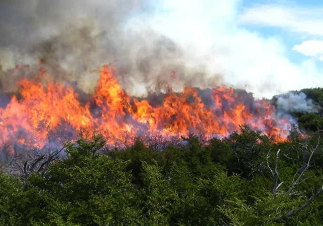 Nueva ayuda del SEPE para incendios: cubre el 70% del salario y cómo pedirla