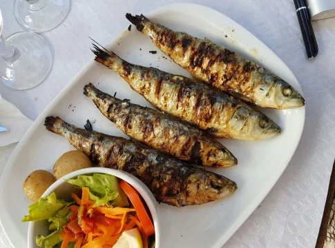 sardinas-superalimento-omega-3-proteina-portada sardinas superalimento