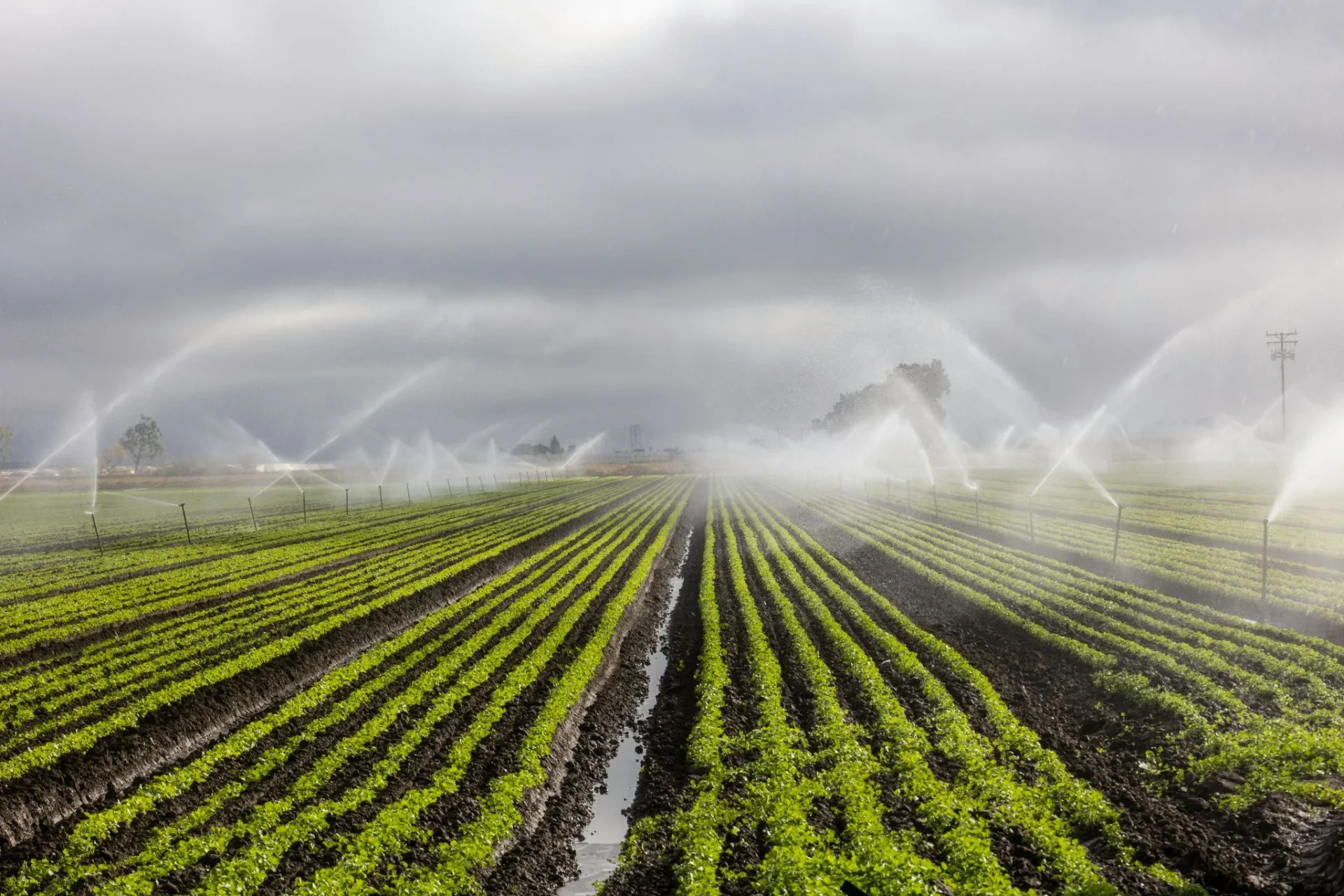 startups-fertilizantes-alterna-agritech-oportunidad-1 agritech oportunidades