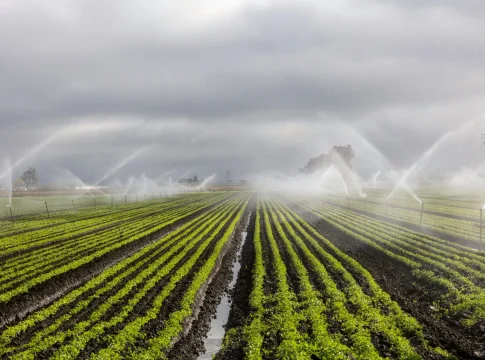 startups-fertilizantes-alterna-agritech-oportunidad-1 agritech oportunidades