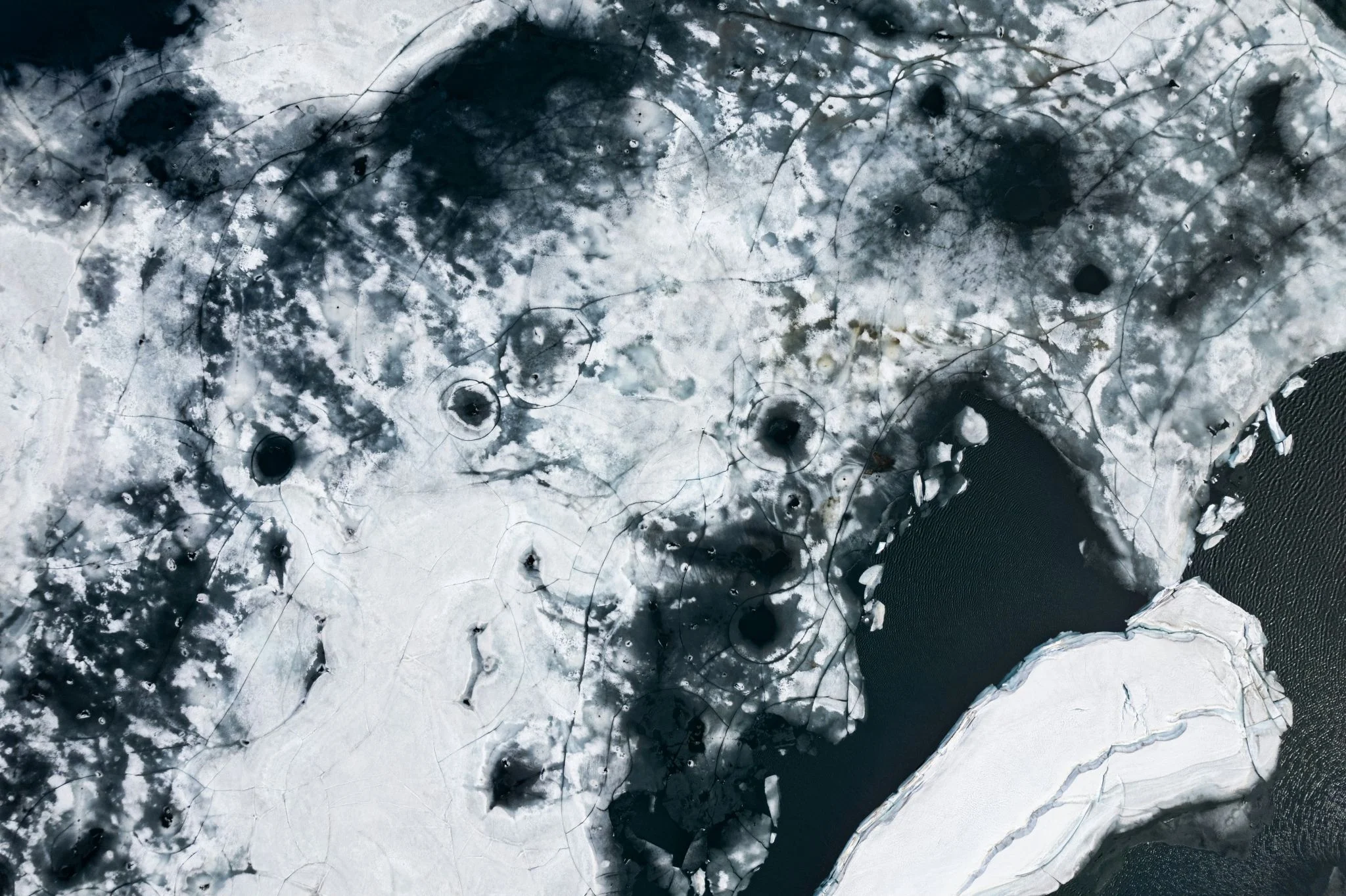 temperatura océano récord 2026