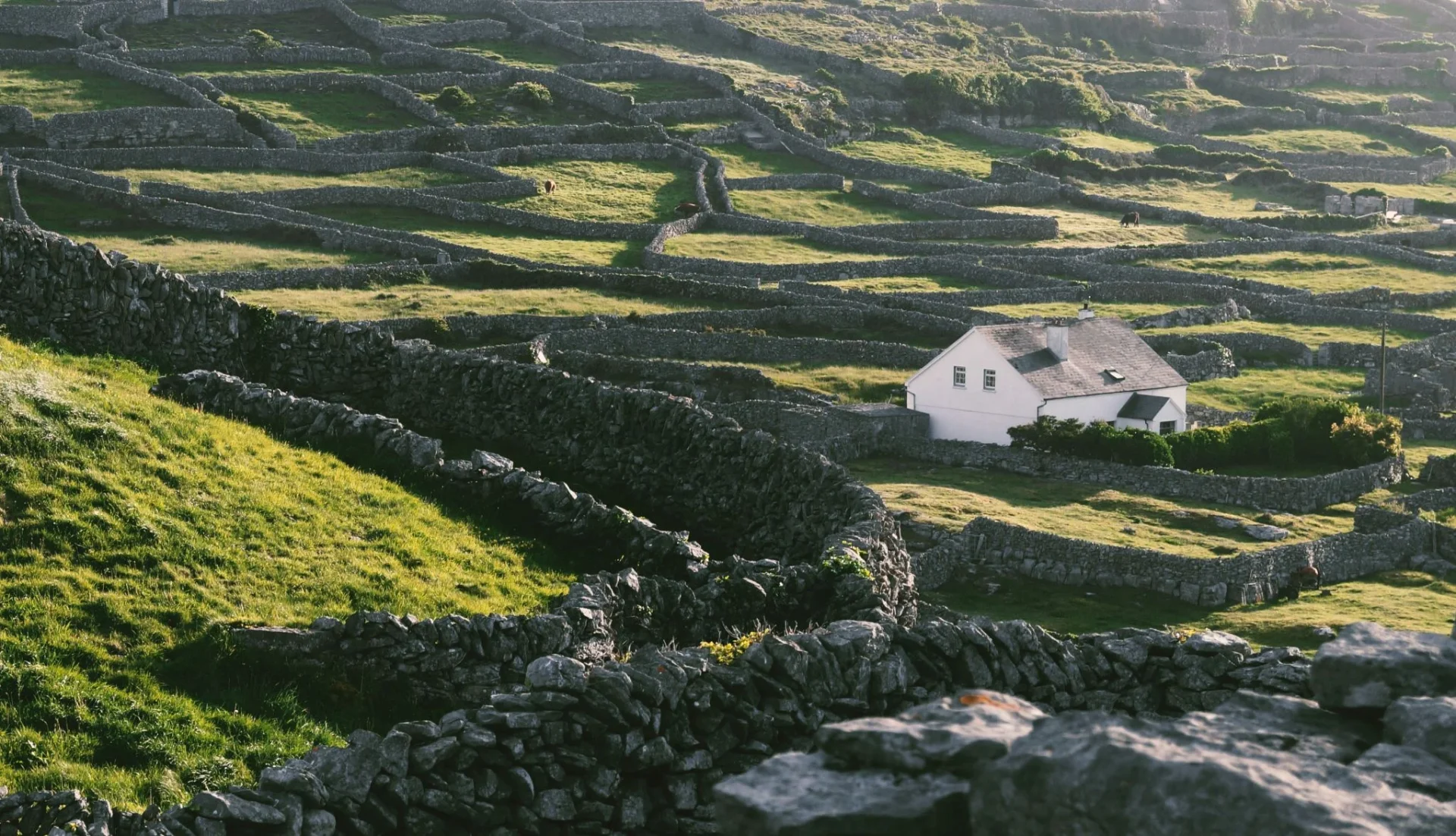 viviendas-neoliticas-irlanda-5700-anos-portada viviendas neolíticas Irlanda