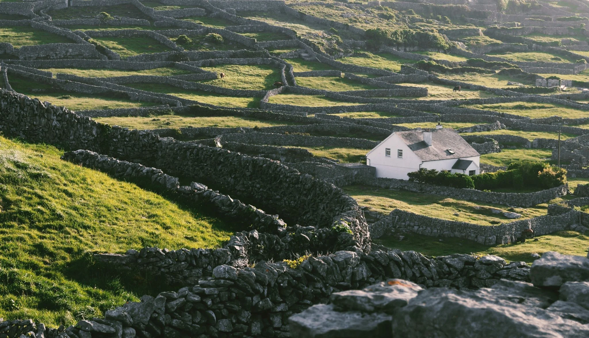 viviendas neolíticas Irlanda