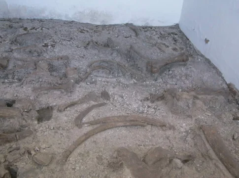 Yacimiento de Torralba Yacimiento de Torralba en Soria