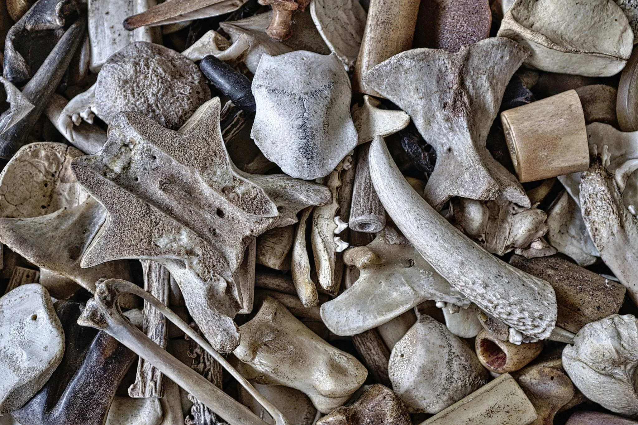 Científicos desmontan que el yacimiento de Torralba fuera un matadero de elefantes: es acumulación natural 1 Merca2 arqueología paleolítica