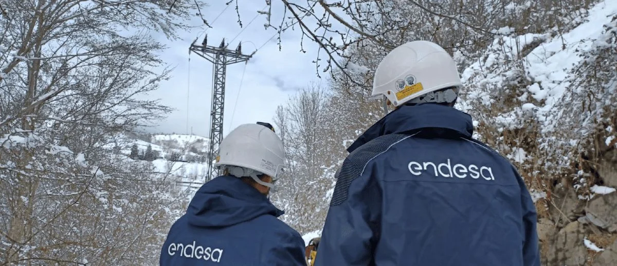 Endesa. Red eléctrica