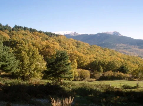 5 miradores de la Sierra de Guadarrama que puedes recorrer gratis este domingo 5 miradores de la Sierra de Guadarrama que puedes recorrer gratis este domingo