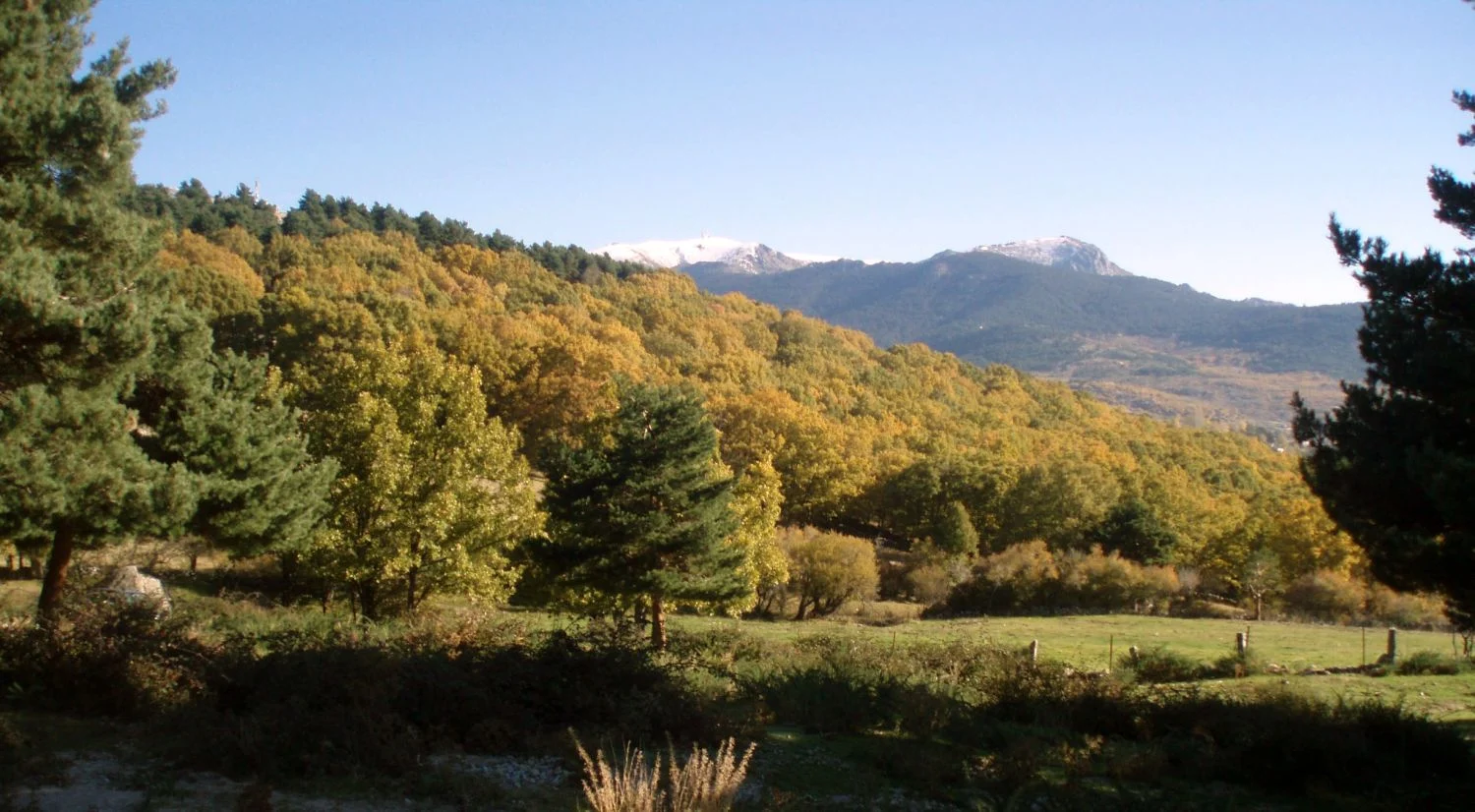 5 miradores de la Sierra de Guadarrama que puedes recorrer gratis este domingo
