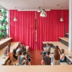 Typeform deja atrás España: así ha cambiado su negocio para ser rentable 1 Merca2 Typeform