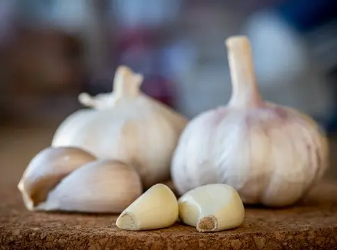 ajo