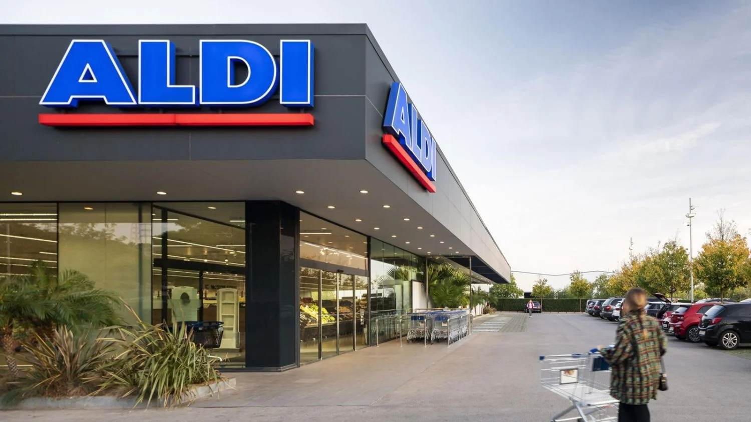 Aldi producto nacional: la cadena sube un 30% la compra de carne española y un 20% la de fruta y verdura