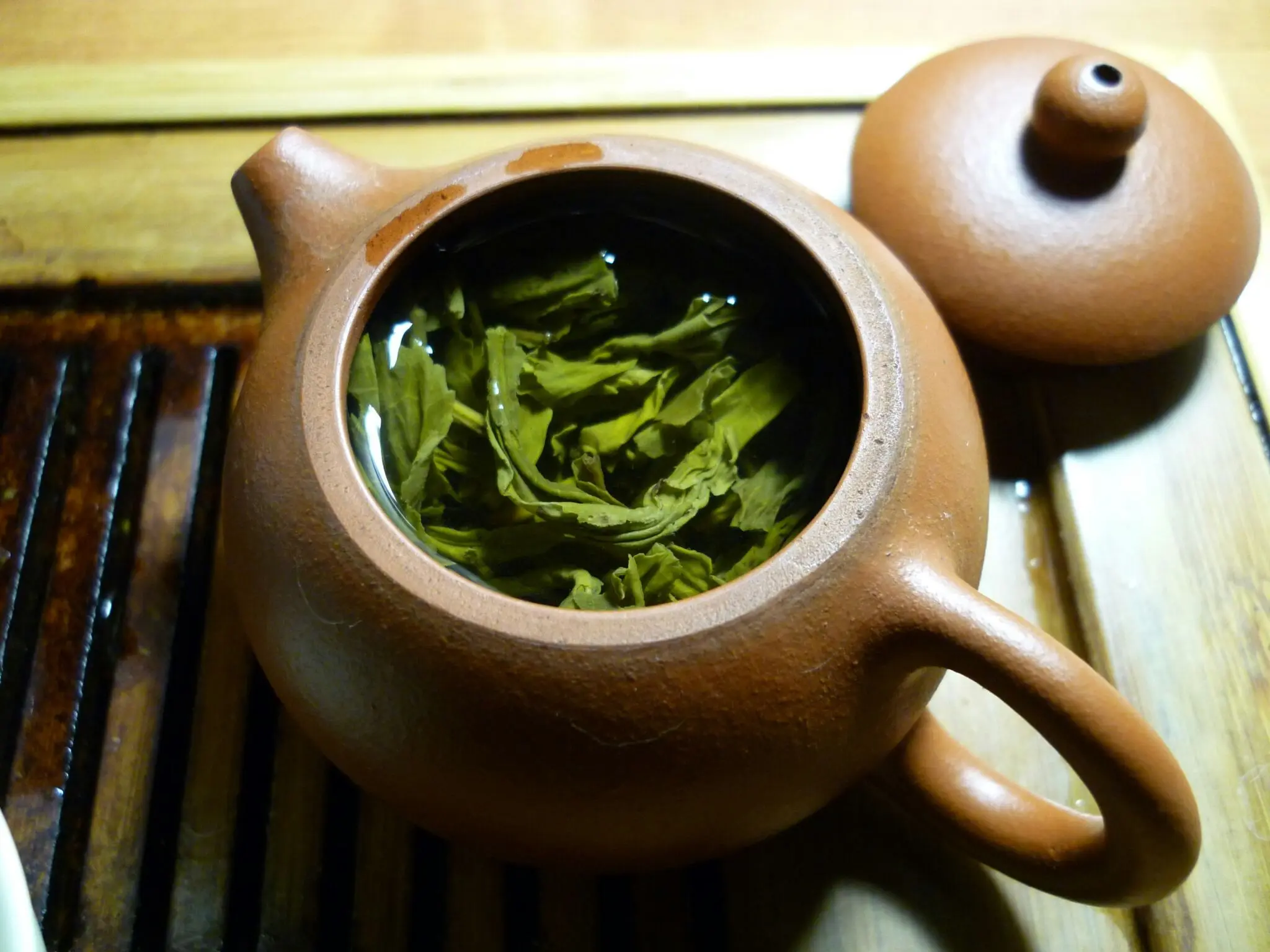 El beneficios del té verde: el tándem cafeína y L-teanina para foco y energía sostenidos 1 Merca2 té verde EGCG