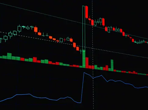 bitcoin-mejor-semana-79000-dolares-portada bitcoin mejor semana