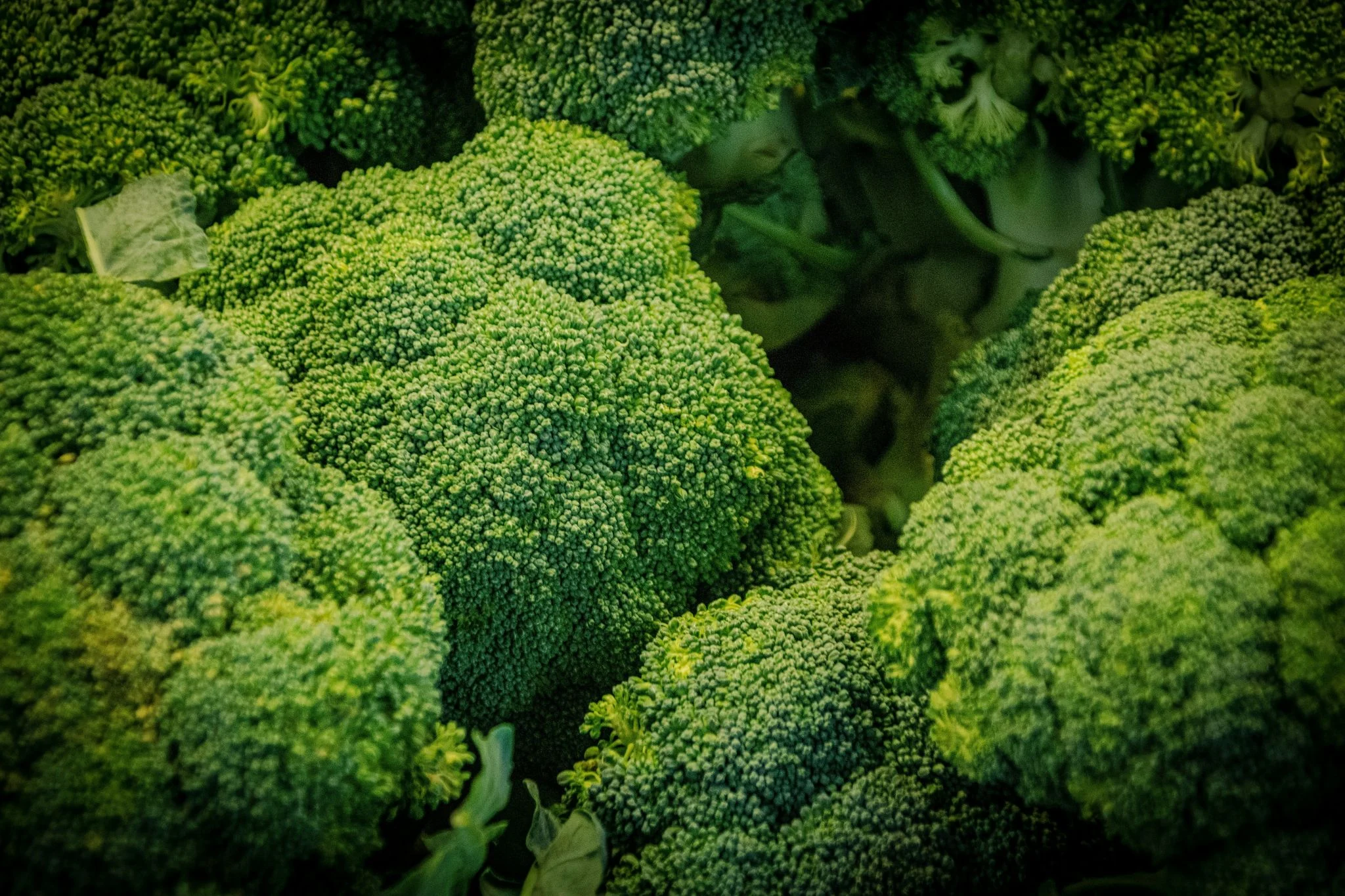 brotes de brócoli