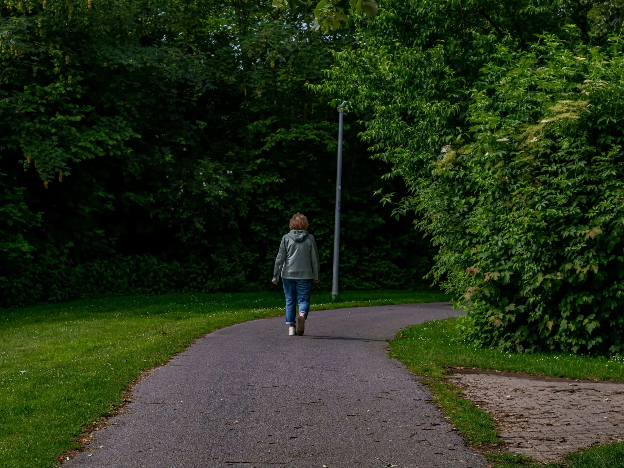 El caminar 15 minutos después de cada comida: mejora tu energía y tu digestión en un mes 1 Merca2 paseo postprandial beneficios