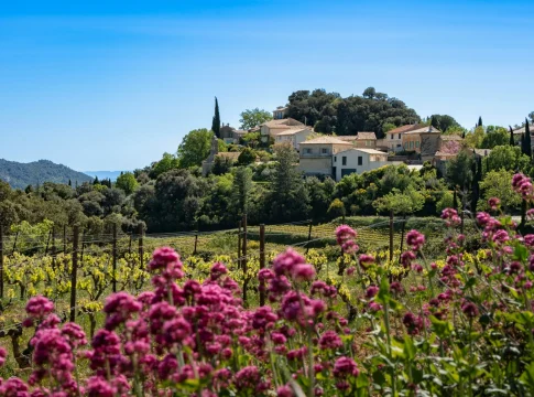 chateau-miraval-demanda-vino-inversion-portada Château Miraval demanda