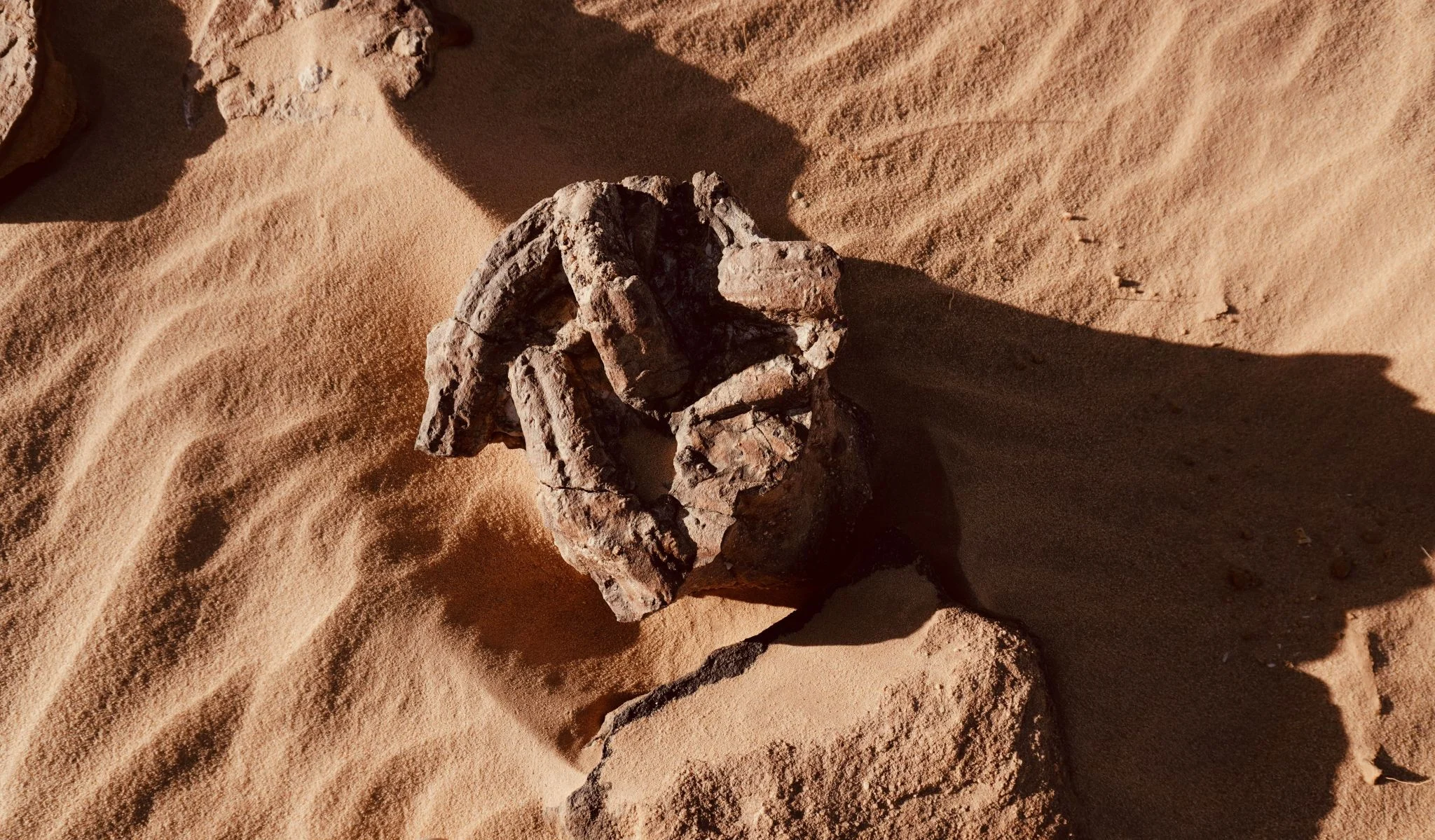 280 círculos de piedra en Egipto revelan una cultura misteriosa que convivió con los faraones 1 Merca2 cultura misteriosa Egipto