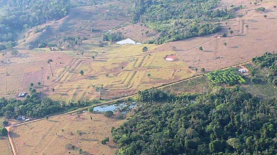 El LiDAR revela una civilización amazónica perdida bajo la selva: es mucho mayor de lo esperado