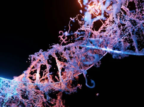 clonacion-crispr-ratones-hembra-portada clonación CRISPR ratones