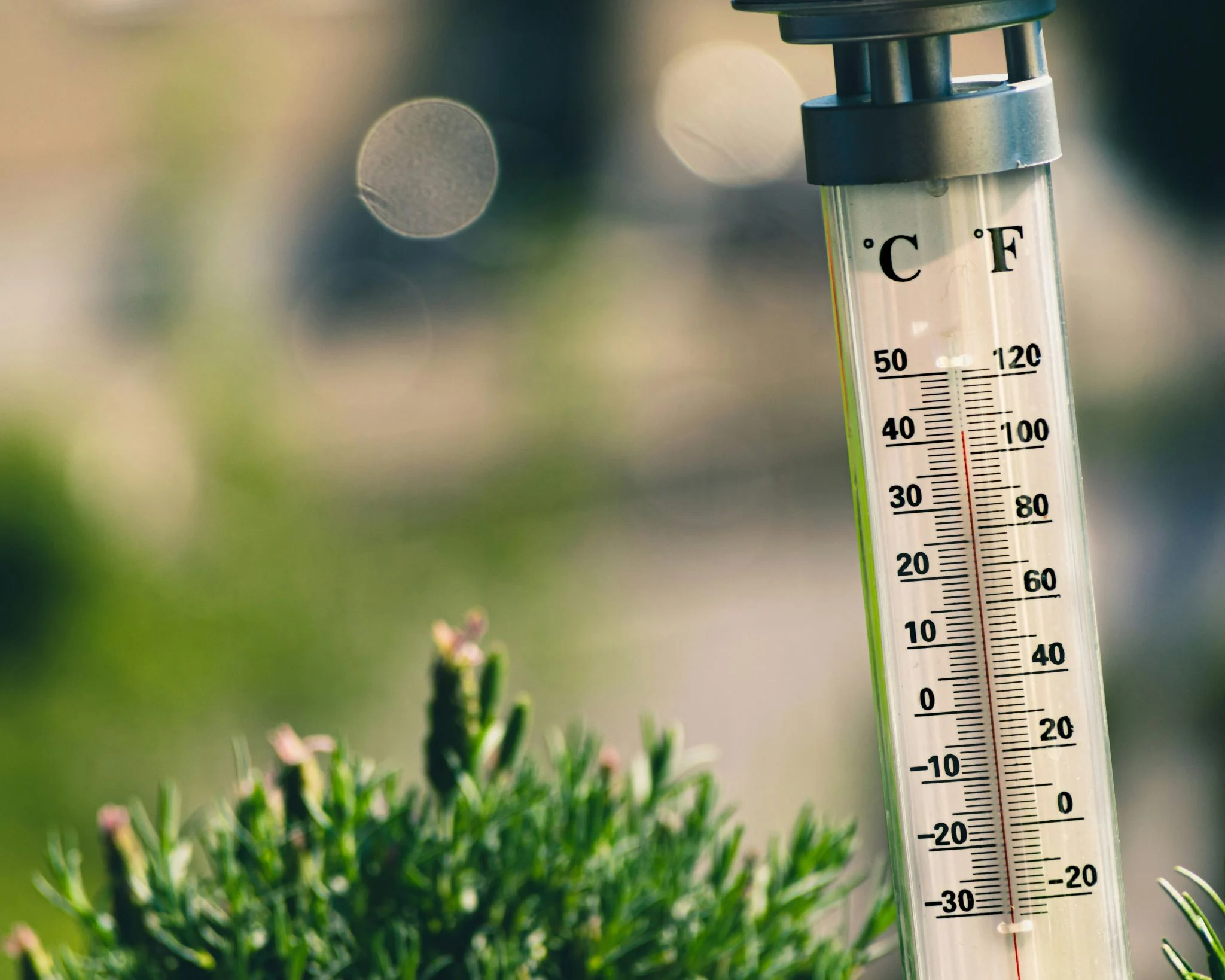 España registra el día más caluroso desde 1940: la AEMET mantiene la alerta por la segunda ola de calor 1 Merca2 ola de calor agosto 2026