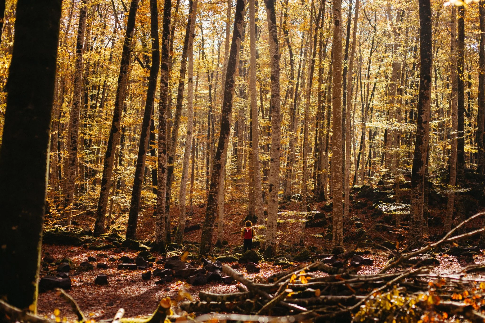 Dónde viajar en otoño en España: 11 escapadas increíbles 2 Merca2 escapadas de otoño en España