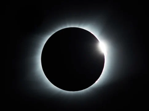 eclipse-solar-animales-12-agosto-portada eclipse solar animales