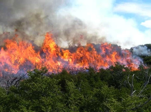 incendios 1111