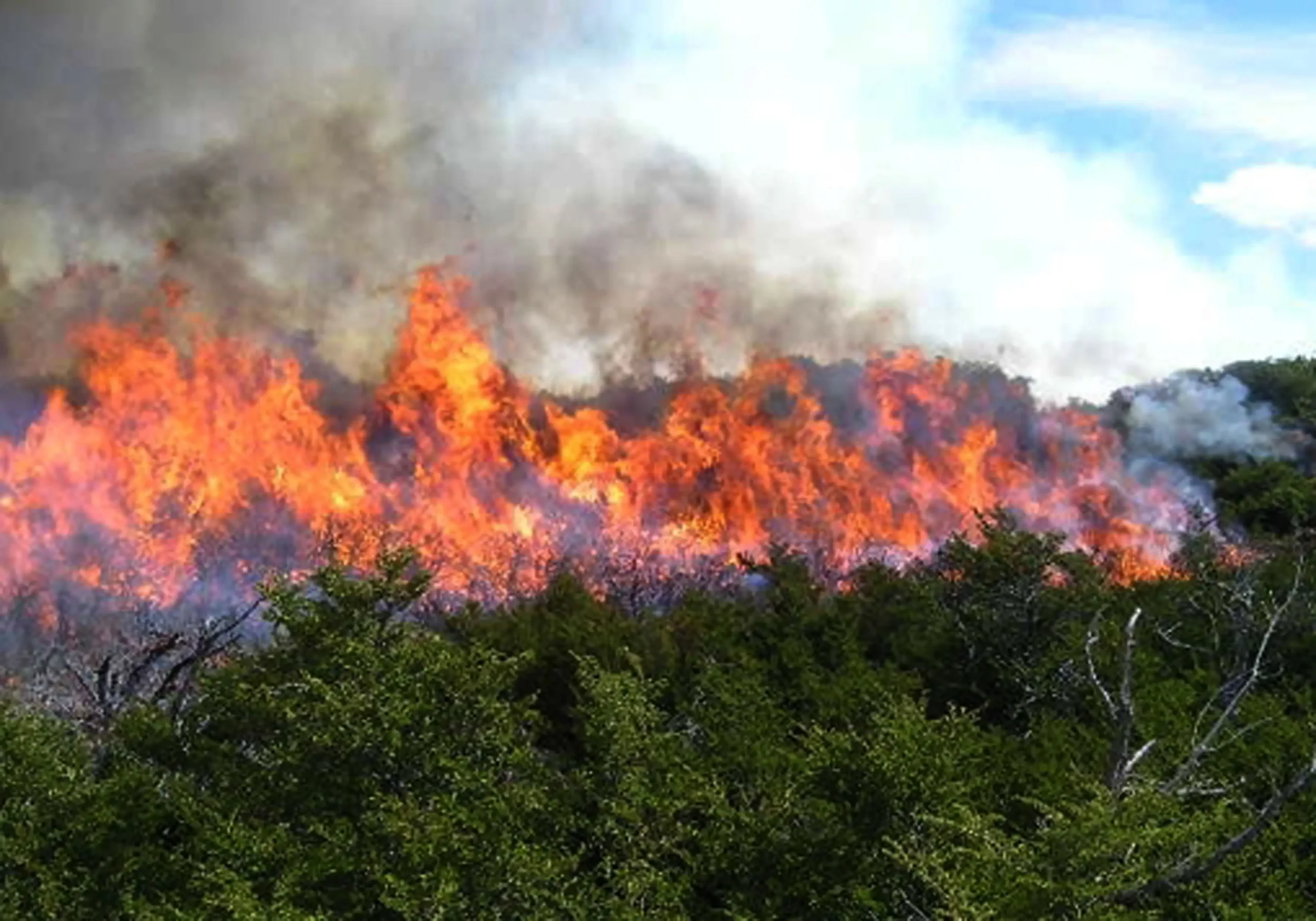 Ayudas autónomos por incendios: Madrid, Comunidad Valenciana y Castilla y León abren subvenciones