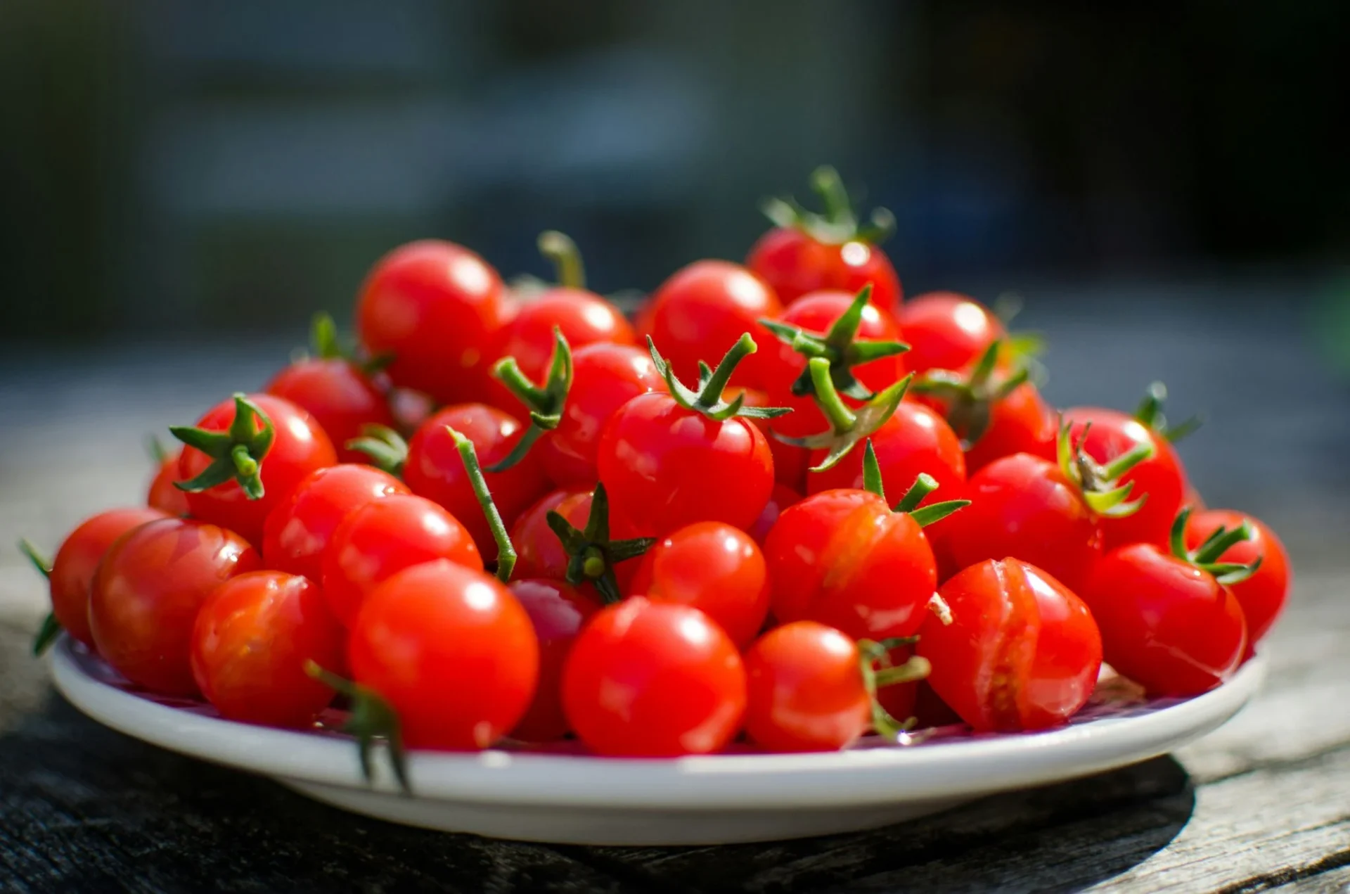 minitomates-nutrientes-tomates-grandes-portada minitomates nutrientes
