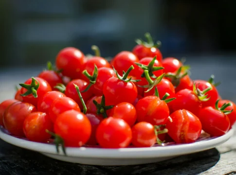 minitomates-nutrientes-tomates-grandes-portada minitomates nutrientes