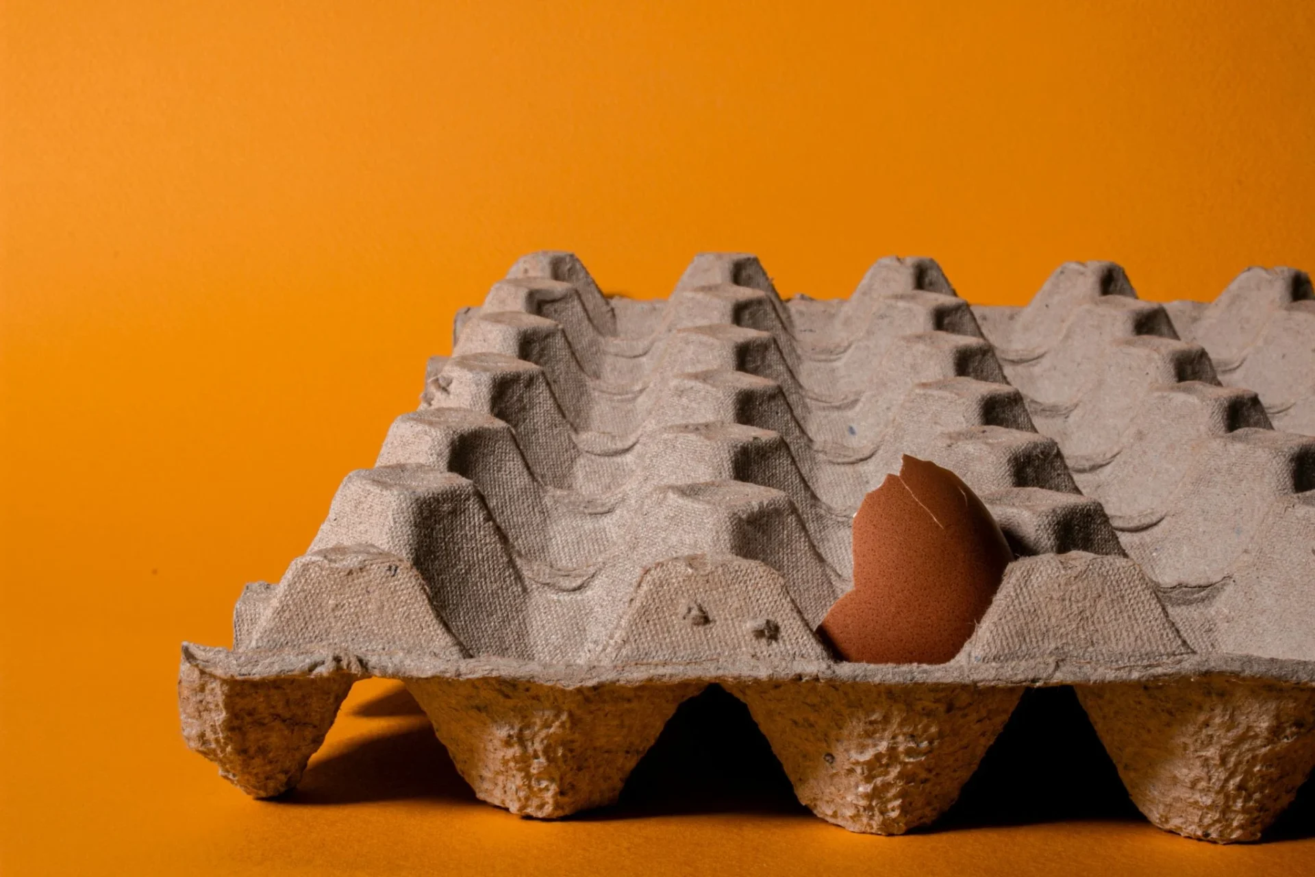 salmonella-huevos-importados-reino-unido-portada salmonella huevos importados