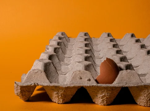 salmonella-huevos-importados-reino-unido-portada salmonella huevos importados