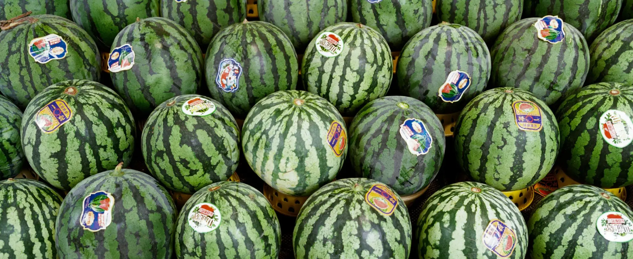 La sandía de Marruecos hunde su precio en el súper y abarata la fruta de verano 1 Merca2 sandía más barata