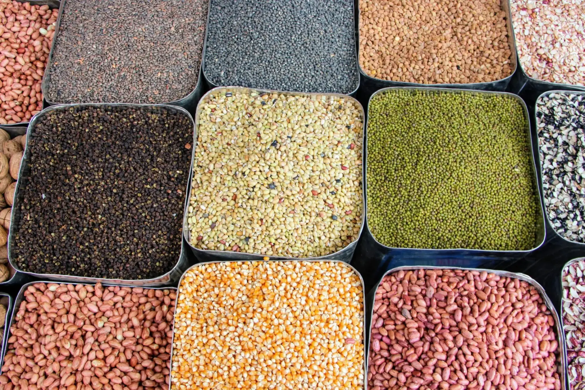 tendencias-nutricion-2026-base-modas-alimentarias-1 modas alimentarias