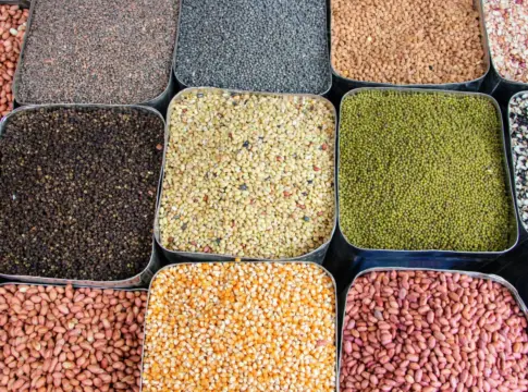 tendencias-nutricion-2026-base-modas-alimentarias-1 modas alimentarias