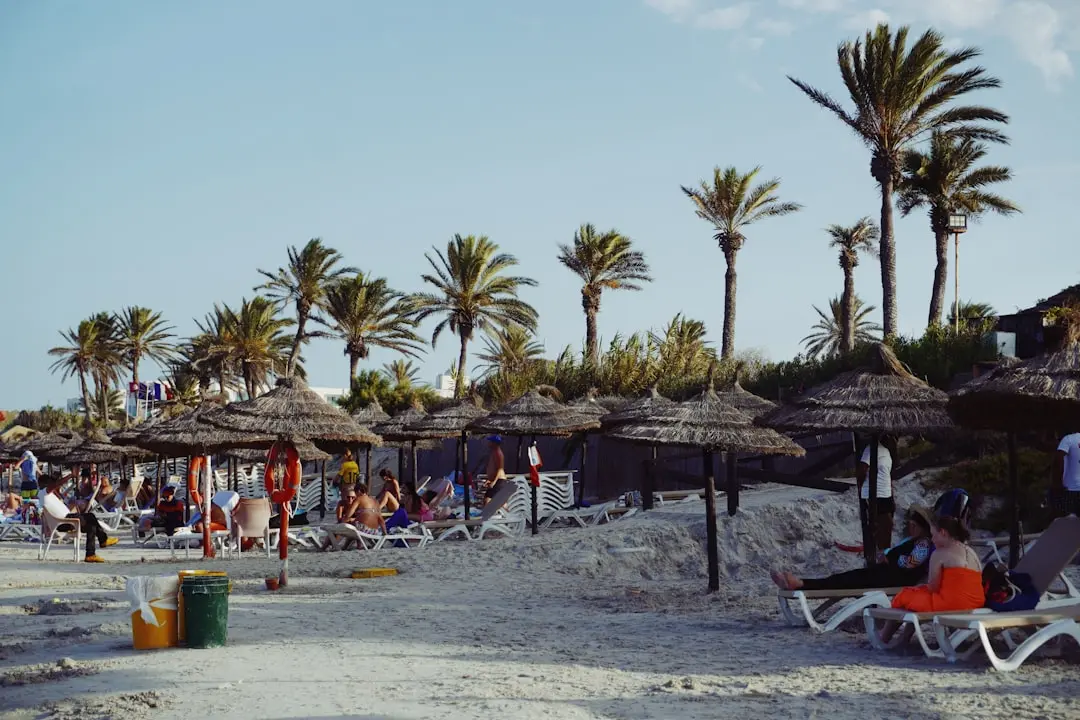 A beautiful beach with palm trees and people