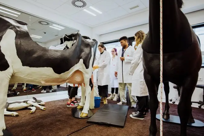 La Universidad Europea revolucionó la formación sanitaria con la creación de hospitales simulados de última generación para salud humana y veterinaria 1 Merca2 Hospital veterinario simulado para la formacion de estudiantes. Universidad Europea Merca2