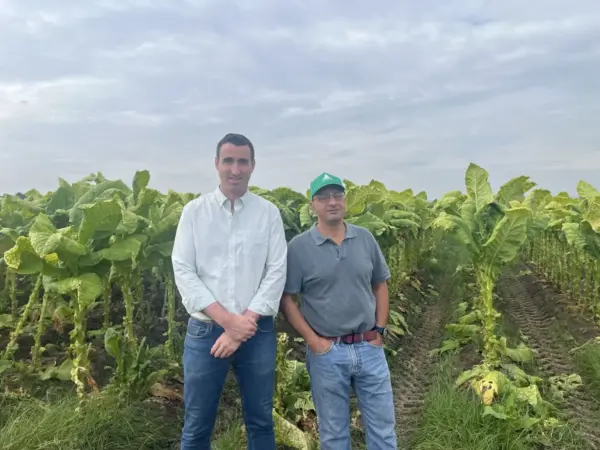 Así es el campo que mueve el 98% del tabaco español: de las tierras de Extremadura a las fábricas de Philip Morris 2 Merca2 Fran Bravo y Pedro Cañadas, técnicos de producción agrícola de CETARSA