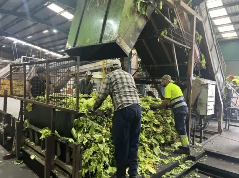 El tabaco que sostiene a Extremadura busca futuro más allá del cigarrillo, Philip Morris El tabaco que sostiene a Extremadura busca futuro más allá del cigarrillo, Philip Morris