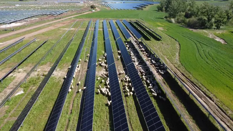 Solaria encuentra otro motor de crecimiento: los centros de datos disparan sus ventas de infraestructuras 2 Merca2 Paneles solares de Solaria