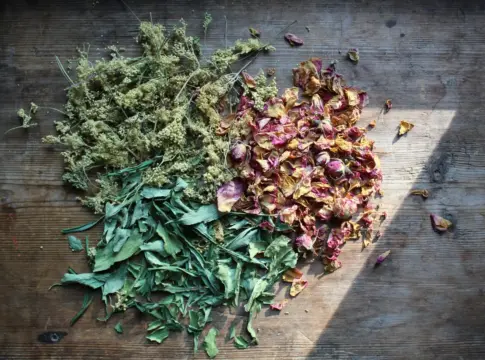 adulteracion-suplementos-botan-calidad-extractos-ve-1 calidad extractos vegetales