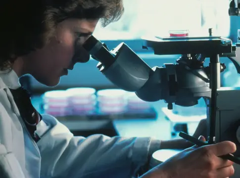 bacteria-intestinal-metastasis-eggerthella-lenta-1 Eggerthella lenta